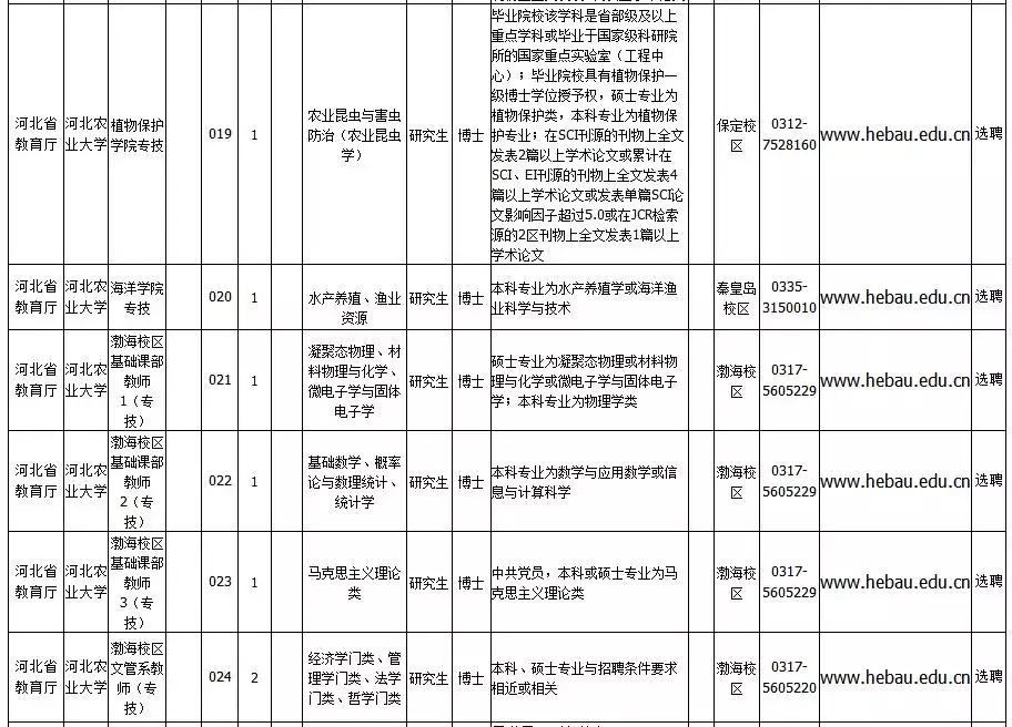 河北教师事业编招聘,河北招聘事业编教师