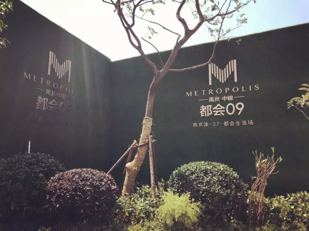 老城新楼盘,老城新房