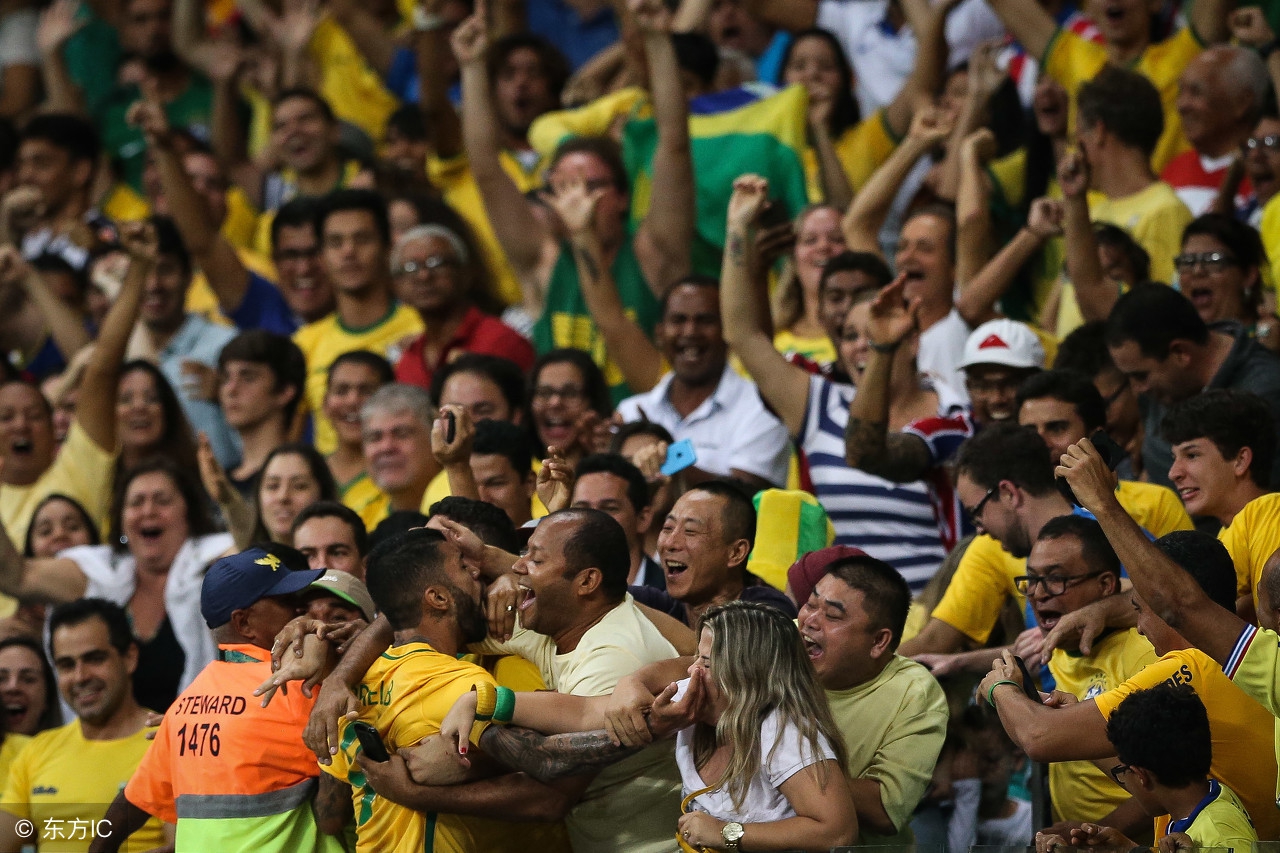 巴西的足球和格斗,巴西的足球价格