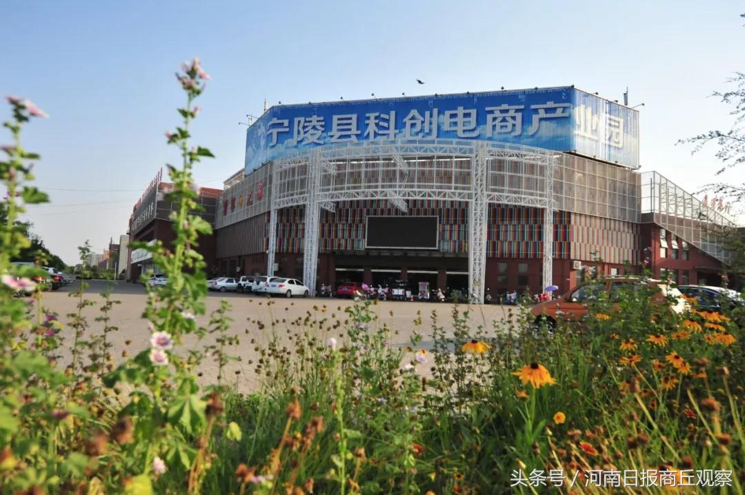 河南商丘宁陵县电商,宁陵电商深度解析