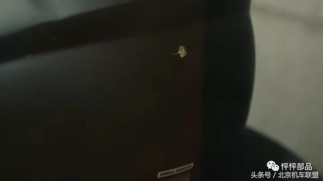 大多数摩友选择什么头盔,一般摩友都选择什么头盔