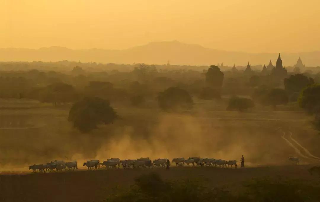 上半年大片,上半年大片推荐