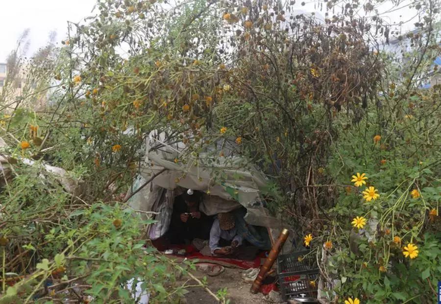 惨不忍睹！瘾君子，5岁的孩子亲眼看着父亲将针管插入自己的胳膊