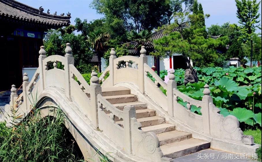 郑州哪里可以入夏赏荷,郑州最佳赏荷地来了