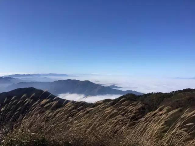 下一站湘府路站,下一站湖南