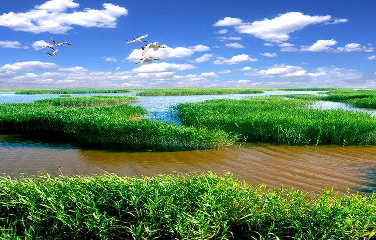 盘锦鼎翔旅游景区,辽宁盘锦旅游景区集锦
