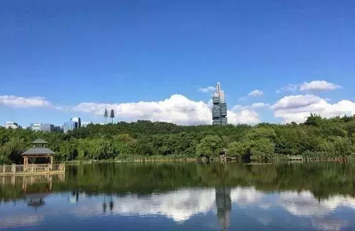 从无人区归来图片,从无人区归来