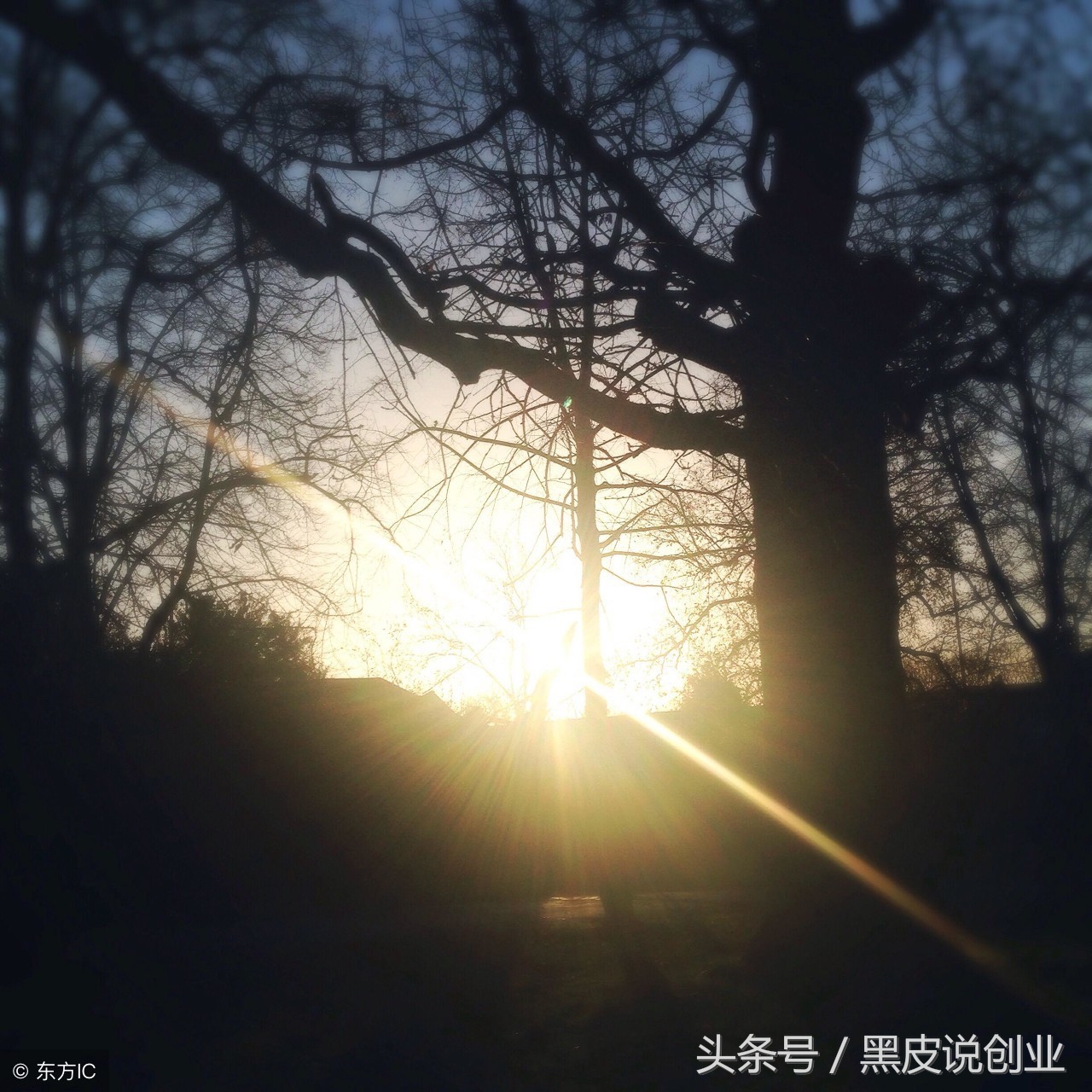 为什么一定要做互联网生意？