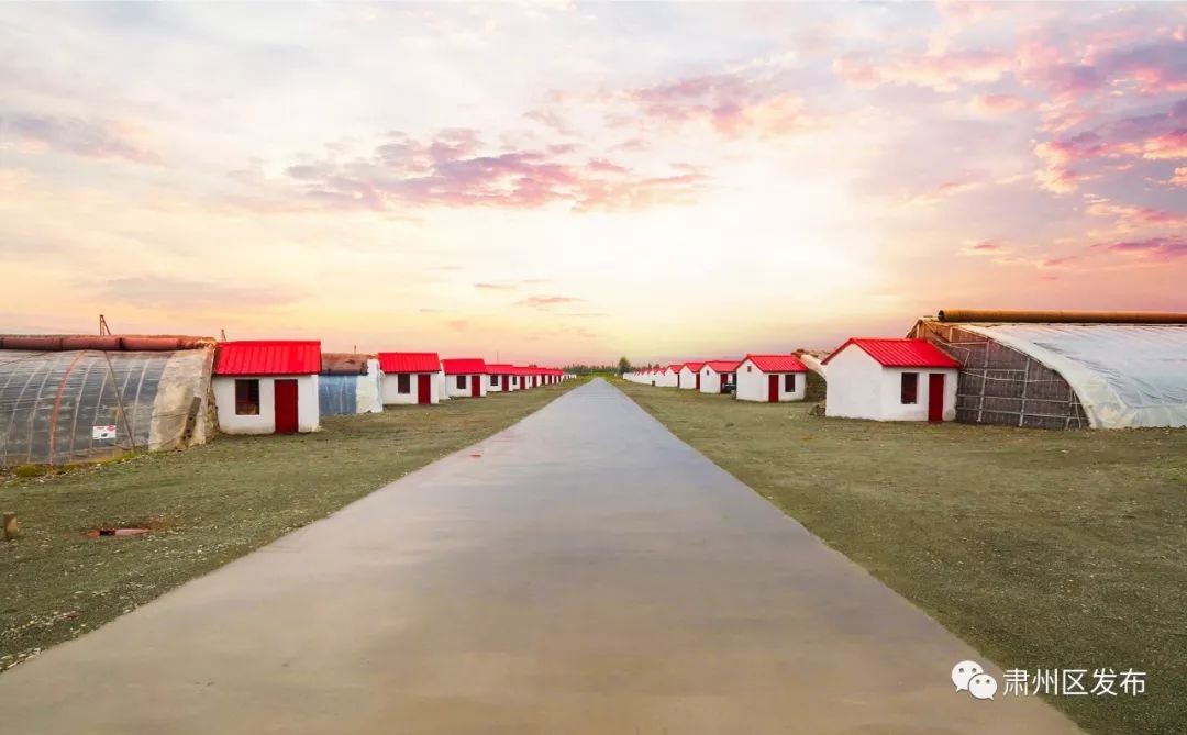 荒滩变成花海乡村富了百姓笑了,荒滩变成基本农田