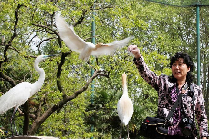 怎么拍摄快速运动物体,运动物体怎么拍摄视频