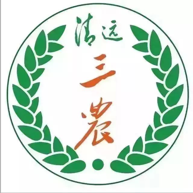 刚装的宽带一会就没网了,刚安装的宽带总是掉线