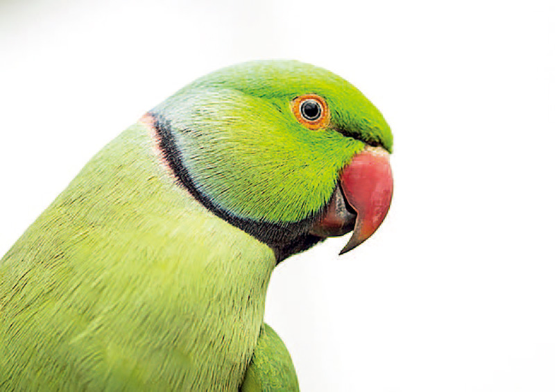 单反入门相机推荐,入门数码单反相机