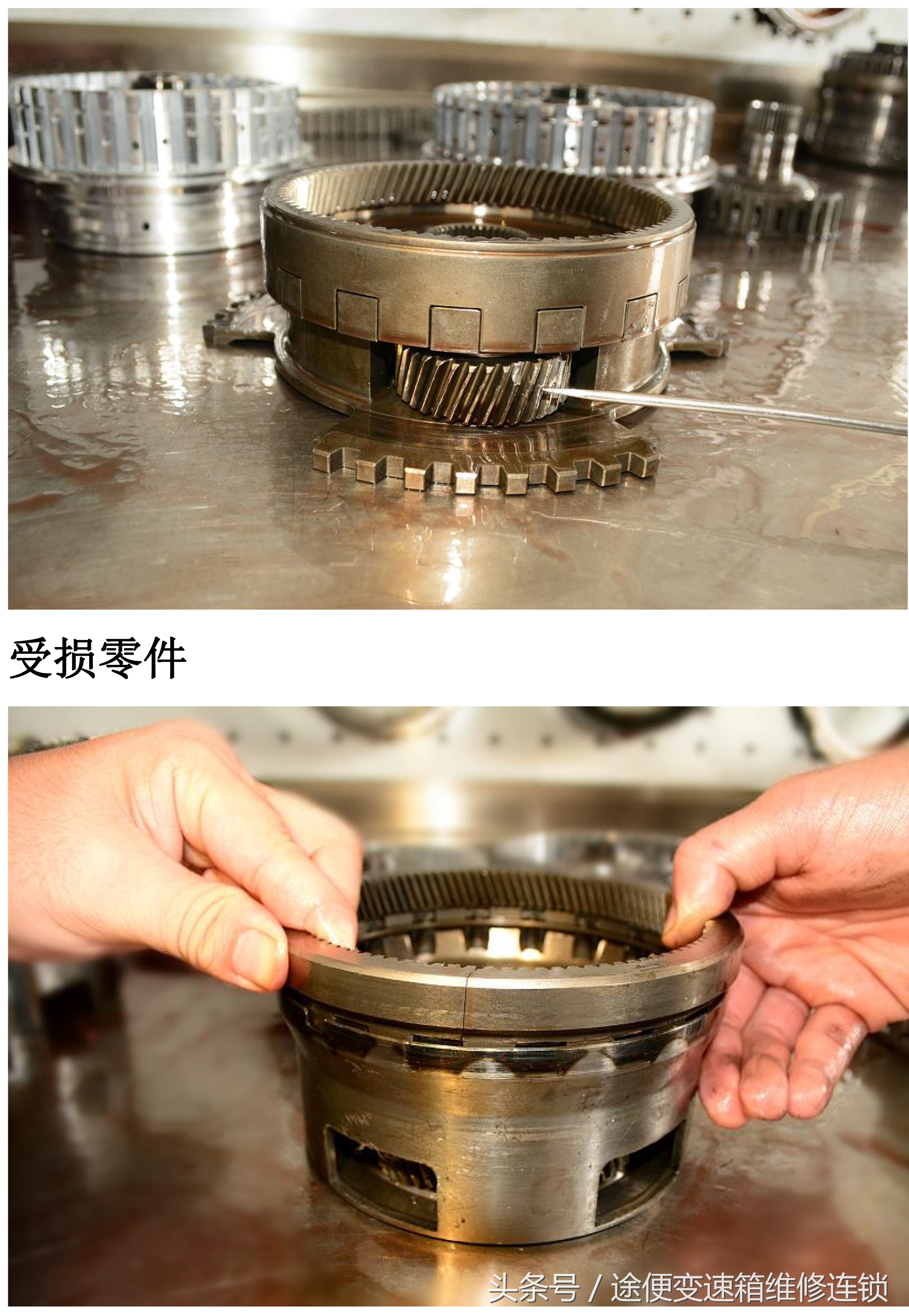 15款雪佛兰科鲁兹自动变速箱油,雪佛兰科鲁兹维修变速箱控制模块