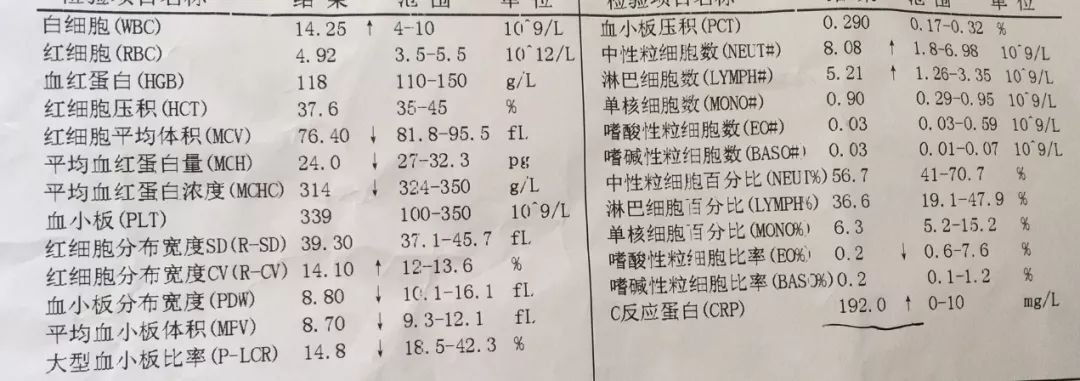 孩子发烧查血说细菌感染怎么回事,孩子反复发烧去检查说是细菌感染