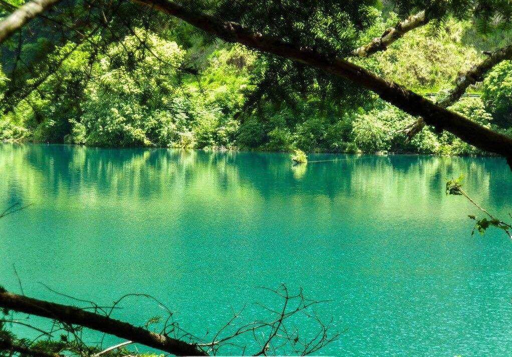 金庸先生取名技巧大全,如何能像金庸先生样起个好名字