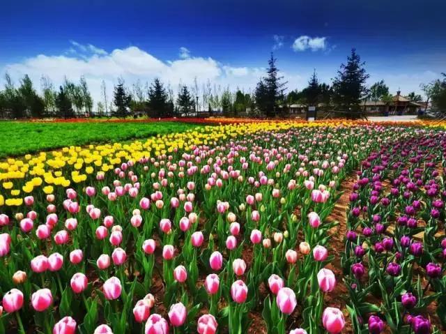 最新消息！国家点名表扬北京这几个区，快看看有你们家嘛？