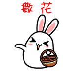 关于合肥中考的新闻,合肥中考资讯