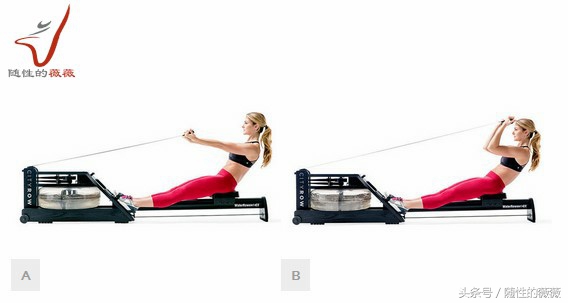 划船机只蹬不拉,划船机怎么练腰部和背部
