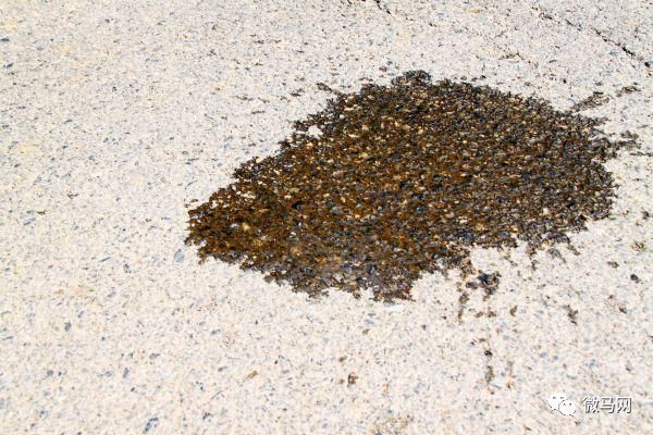 中国四大怪坡之一马鞍山,马鞍山市的怪坡