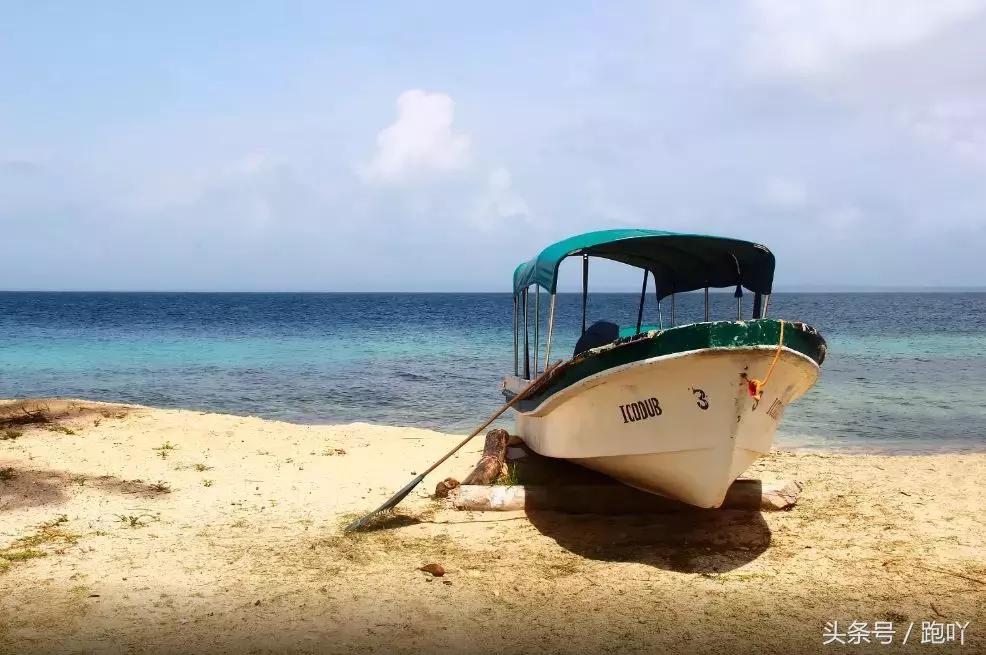 单次世界杯进球最多的国家,世界杯进球最多一场的国家