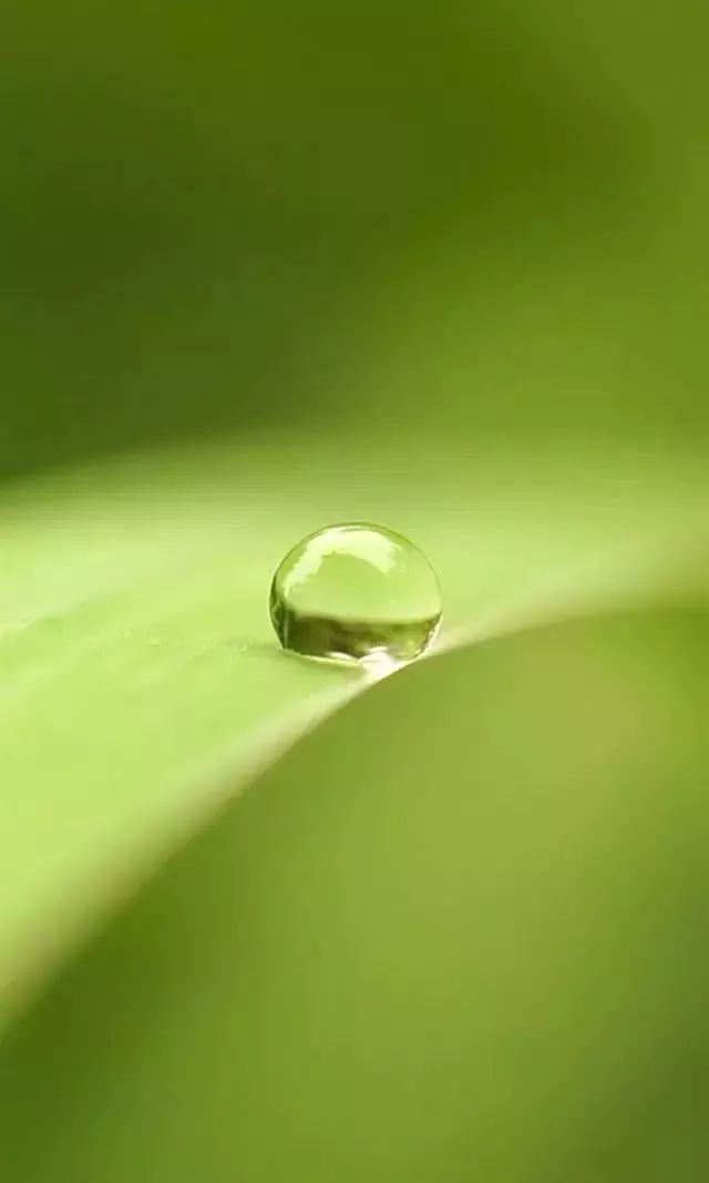 微信聊天护眼背景图高清大图,护眼背景图微信聊天背景