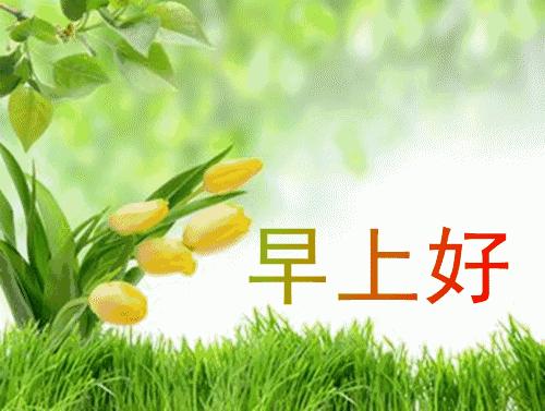 早上好微信动态表情图片大全,早上好微信动态表情精美图片大全