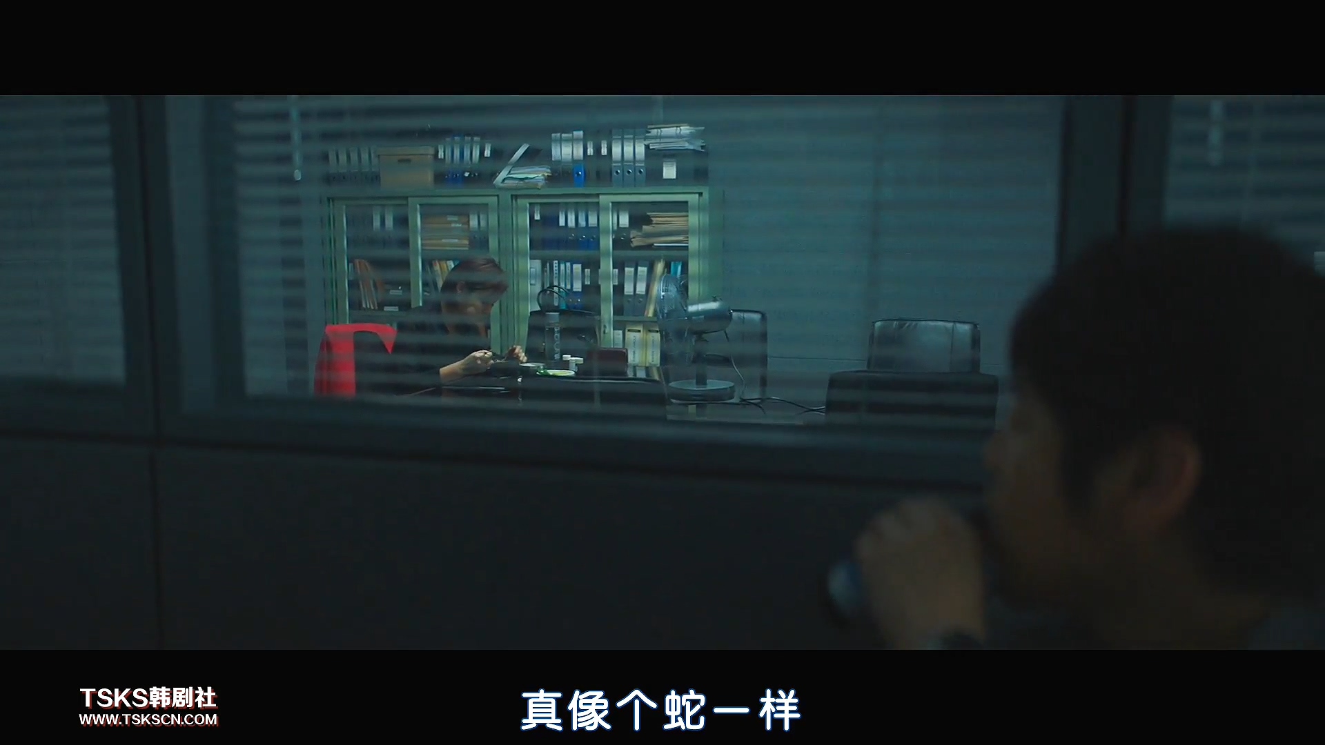 复仇与救赎,韩国复仇电影无尿点