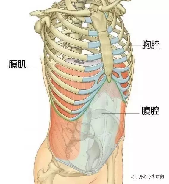 脚趾头无法弯曲怎么回事,脚趾不受控制是什么原因