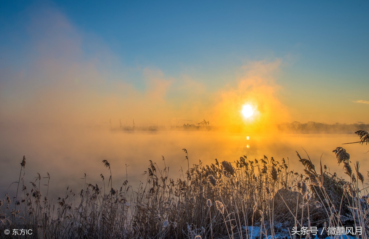贝因美有没有前途,贝因美2018年