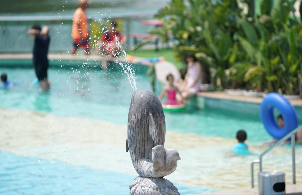 看足球现场比赛震撼,看沙滩足球