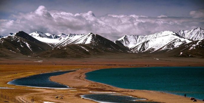 为什么炒股都是明智之举,为何炒股这么难挣钱