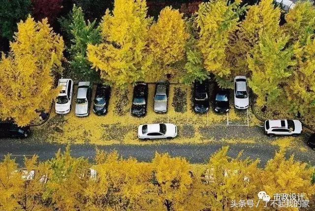 鍩庡競閬撹矾璁捐瑙勮寖鏁欑▼,鍩庡競閬撹矾璁捐瀹藉害