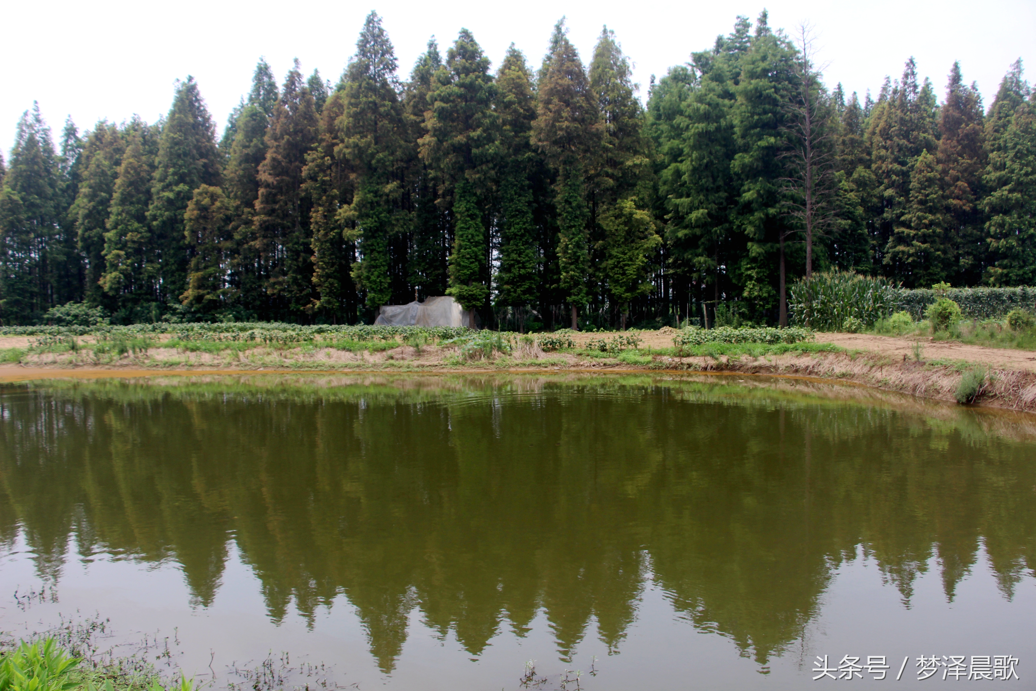 带你吃遍奉节的美食,重庆奉节县特色美食做法
