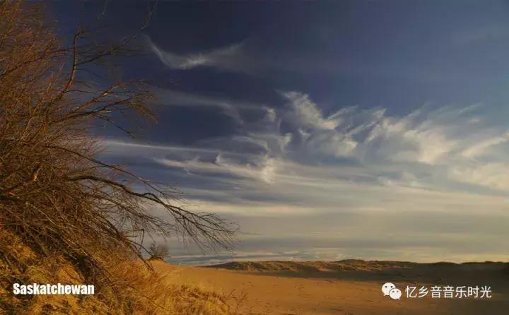 《哦！加拿大》（OhCanada）