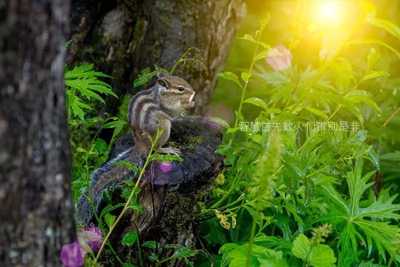 避暑黄龙洞,清凉避暑游