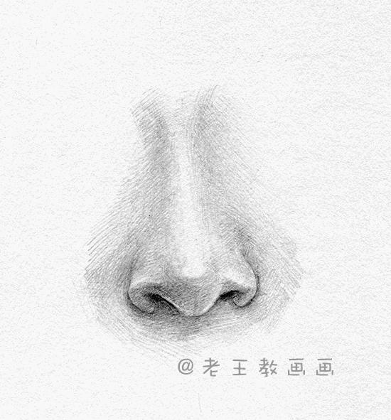 素描五官之鼻子结构图解,鼻子人脸素描画法视频教程