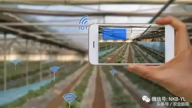 互联网农业是怎么做的视频,互联网农业创业技巧大全