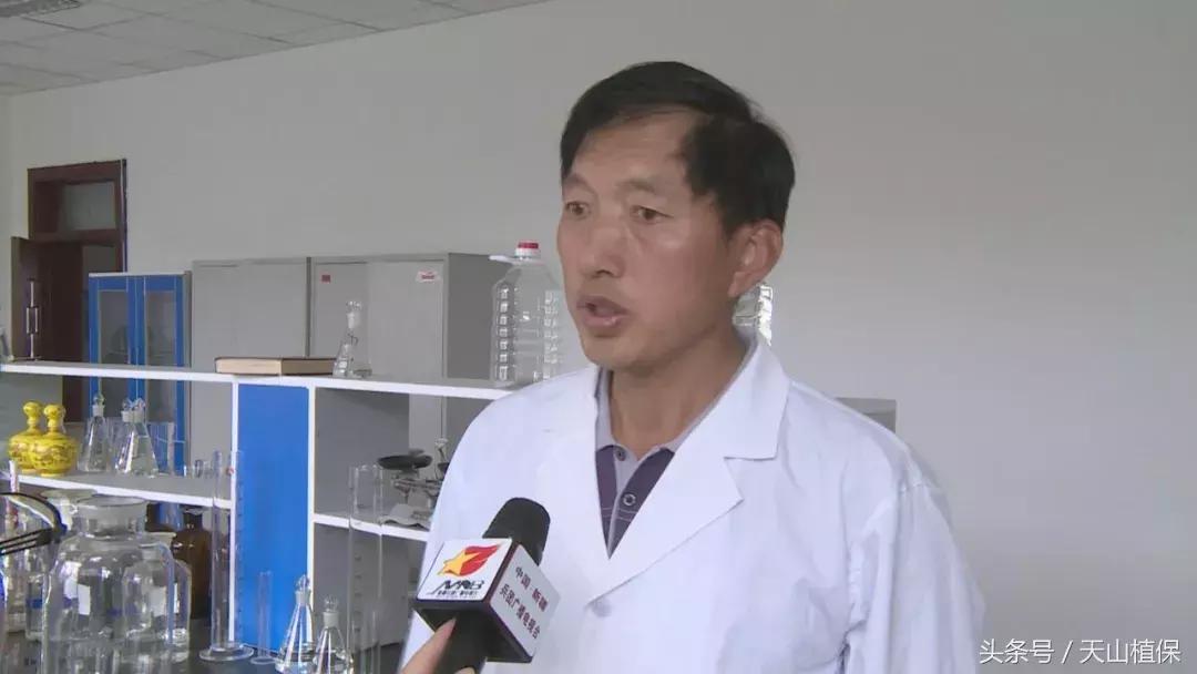 十师团场改革：富了职工活了企业