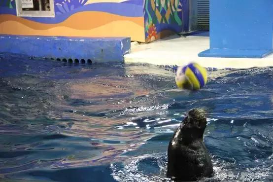 这个夏天去北京旅游好玩吗,夏天适合去的海底世界