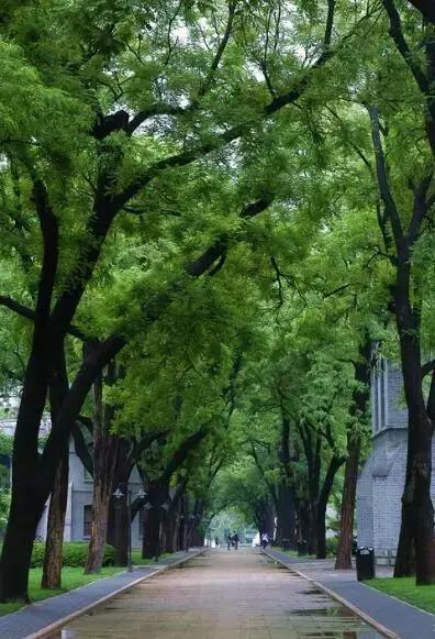 北京高中排行榜,北京的私立高中