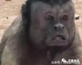 太“凶残”！世界杯“内马尔滚”被网友恶搞，还有人提出解决方案