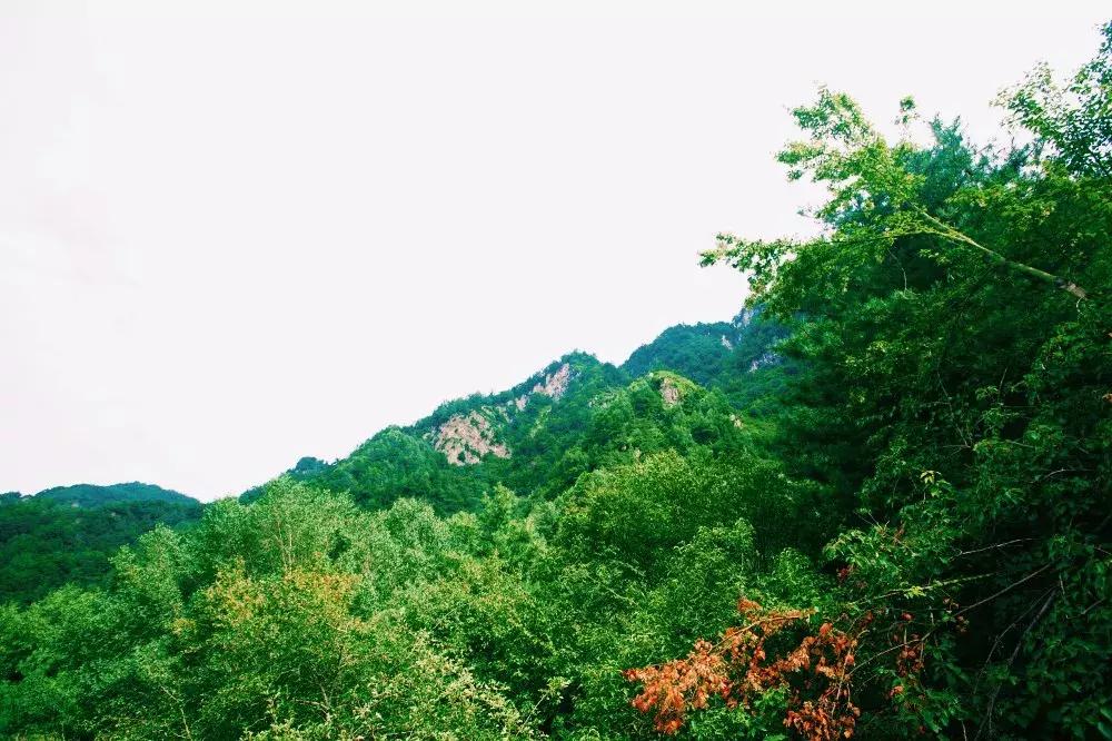 孟达天池与孟达自然保护区,西宁孟达天池旅游攻略