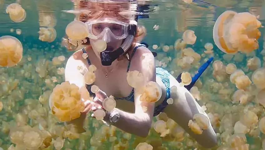 中国护照免签及落地签的国家,中国普通护照免签和落地签国家