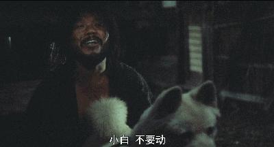 杀婴、弃母、恋兽,如此“道德败坏”,竟成影史经典