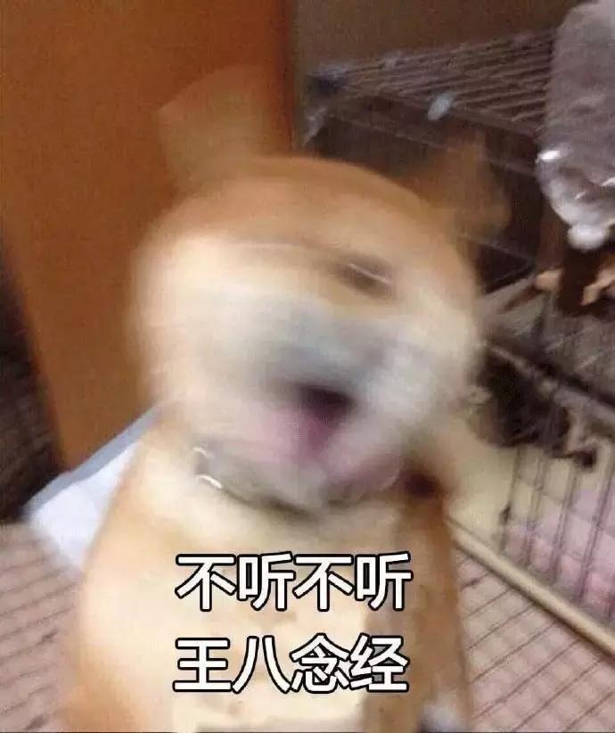 我买了一个超好用的……洗*裤内**机！