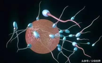 做试管婴儿手术身体是不是很遭罪,人工授精遭罪还是试管婴儿遭罪