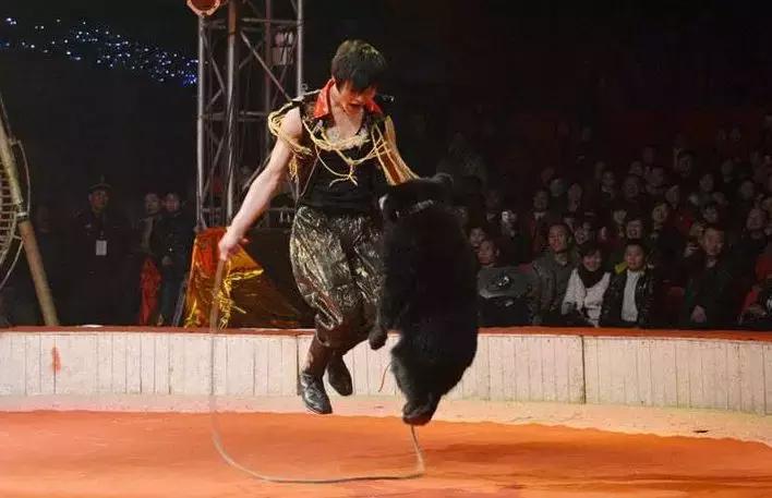 十堰好玩的地方暑假,十堰暑假好玩的地方一日游