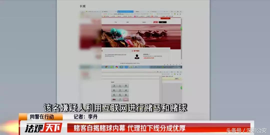 网络赌球背后骗局视频,网络赌球骗局揭秘视频