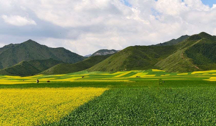我不是药神：正因为每个人都是正确的，才酿成了悲剧