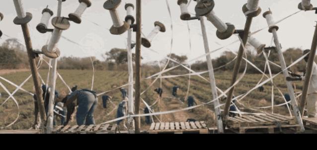 一只鸡能决定一个女孩的命运，太荒唐！